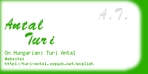 antal turi business card